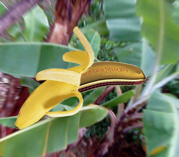 banana.jpg