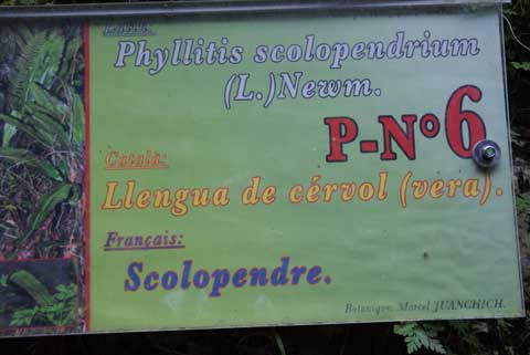 1005.jpg