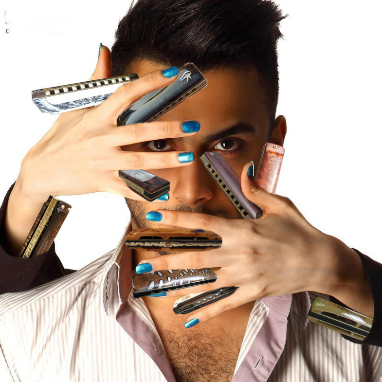 Phyllitis harmonicas.jpg