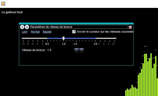 WMP vitesse de lecture copie.jpg
