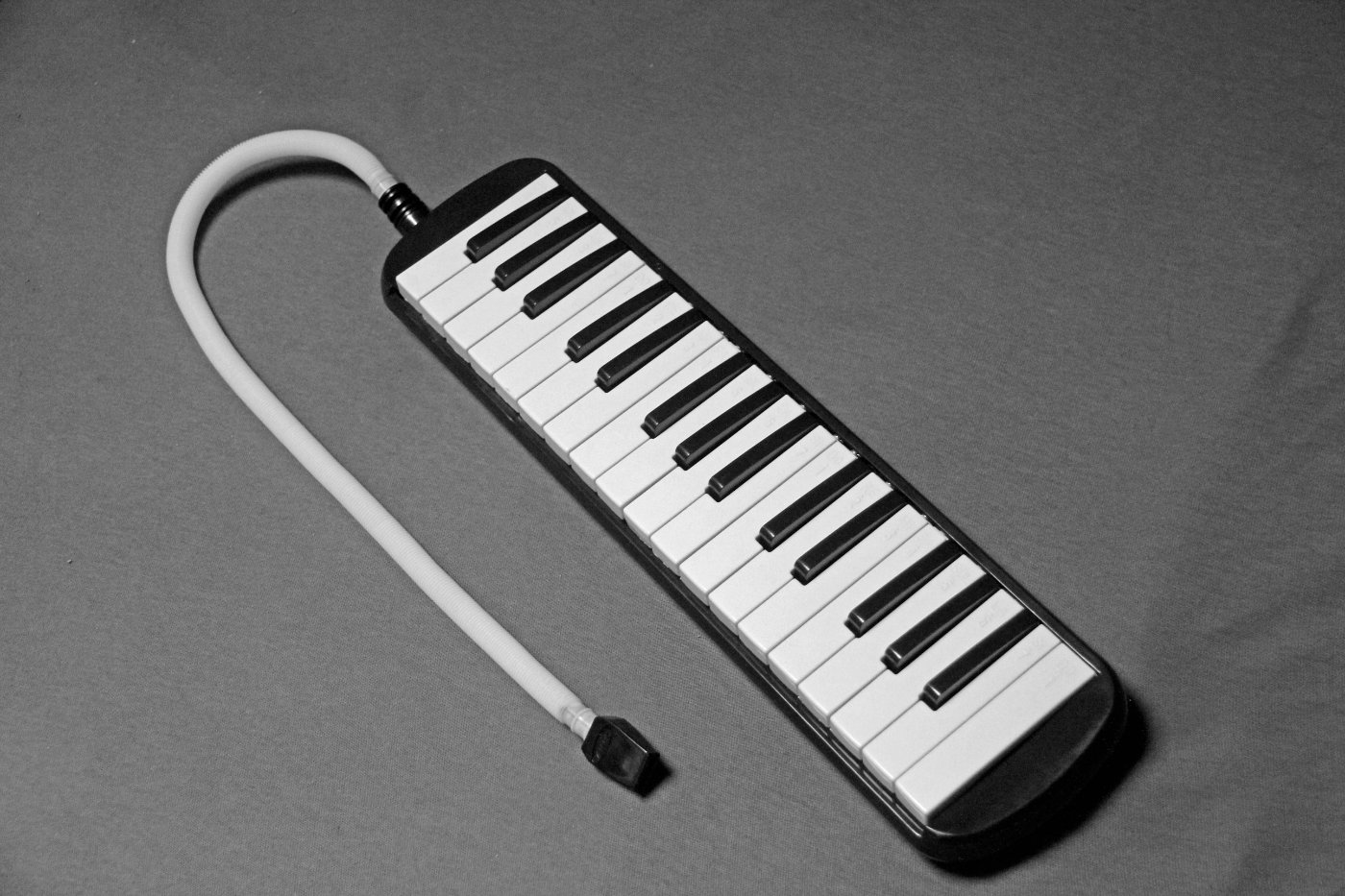 Melodica_1_PSD_1a.jpg