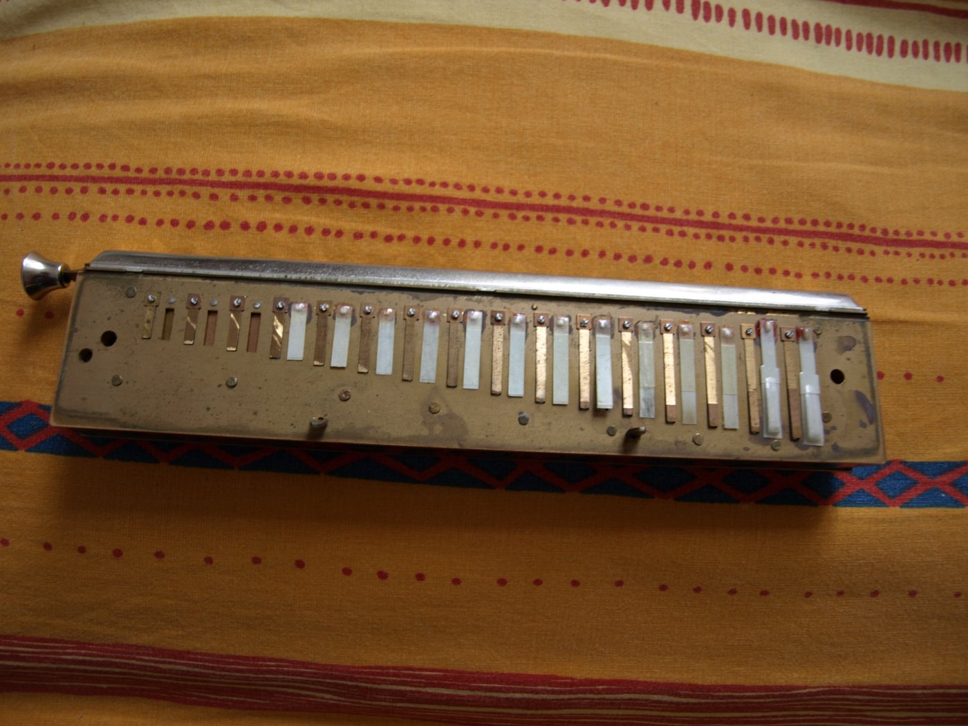 P5238573.JPG