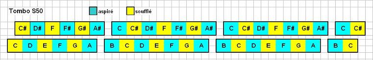 notes Tombo S50.JPG