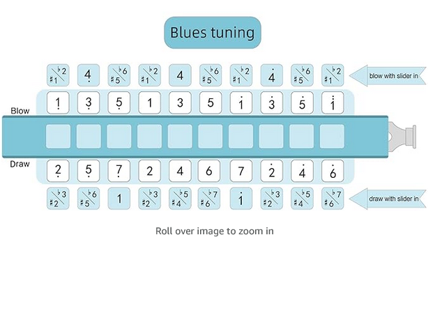 Screenshot 2025-04-01 at 18-27-26 Amazon.com JDR Trochilus 10 Holes Chromatic Harmonica Key of C Armonica Valveless Harp Mouth Organ Chromonica with Case for Adults Professionals Beginners Kids Teachers Students (Blues_Ritcher Tuning Key[...].png